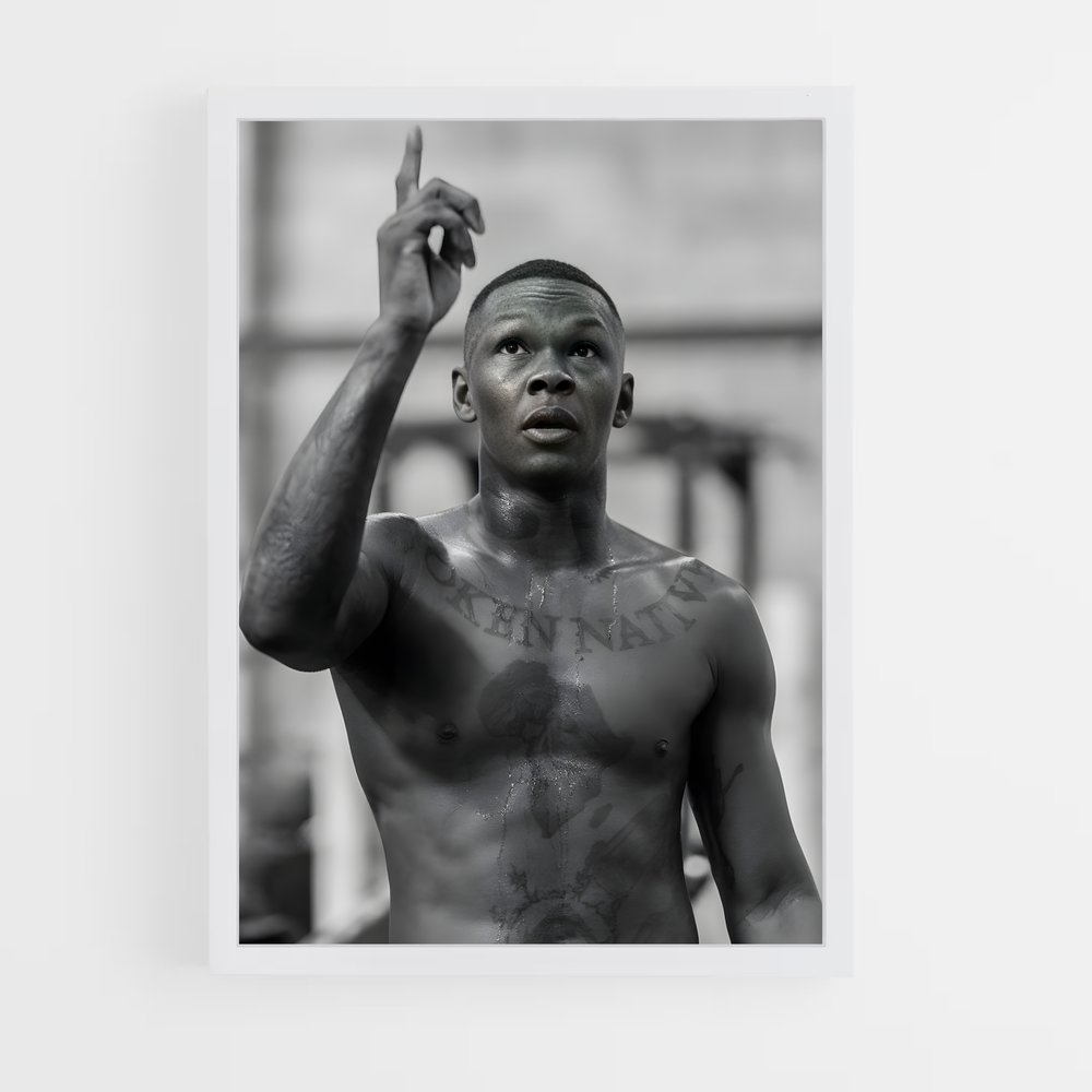 Poster Art of War – affiche MMA (vue 3)